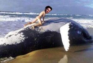 ClintWhale.jpg